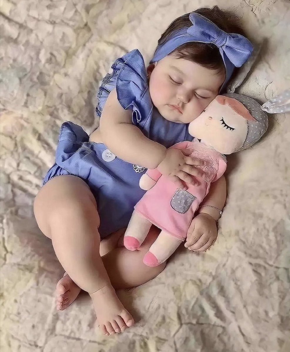 💤💤💤💤💤💤💤💤