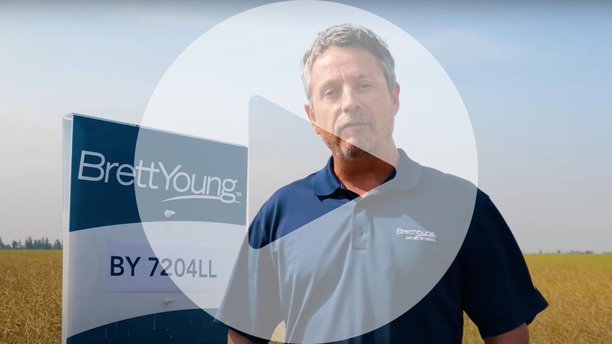 Pod DefendR: ✔️
Clubroot DefendR: ✔️
High yields: ✔️

BY 7204LL has it all within the LibertyLink® system. See why we're so excited about our newest canola hybrid (and why you should be too): sbee.link/b7metqp8wr