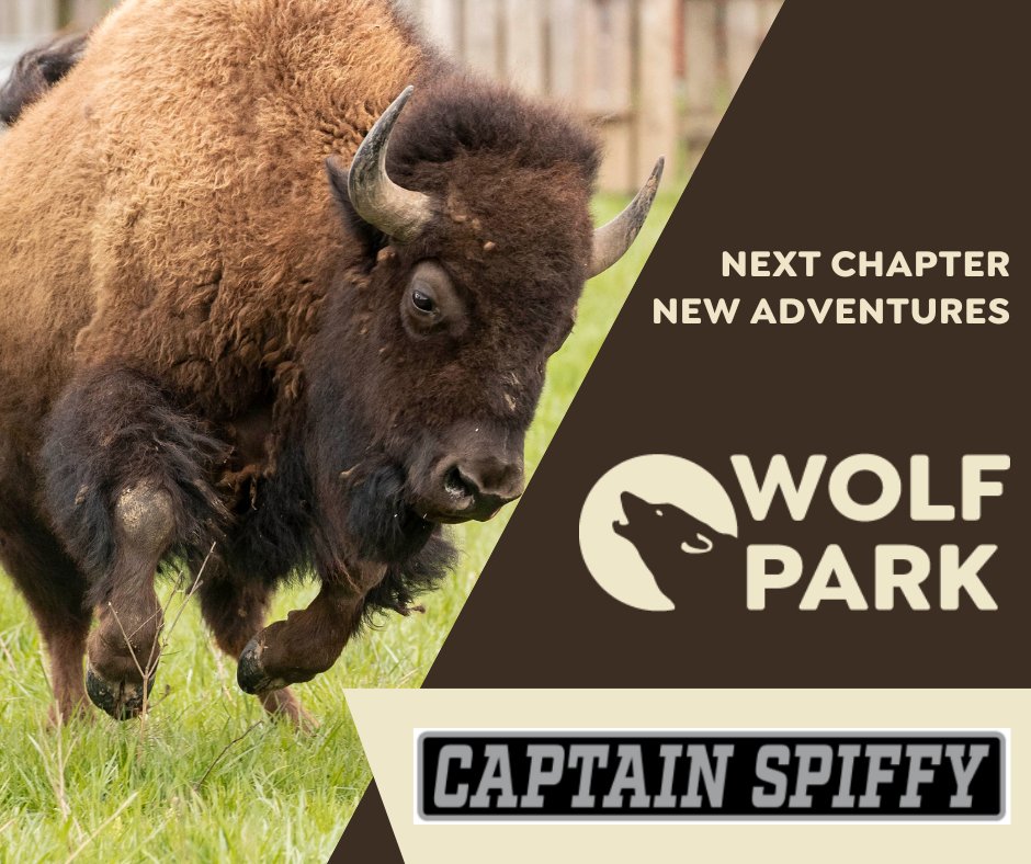 Wolf Park is grateful to Captain Spiffy! Contributions from local businesses go a long way in enabling Wolf Park to offer tours, educational programs, Special events, animal care & more. Thank You! ❤️#WolfPark  #savewolves #savewilderness wolfpark.org