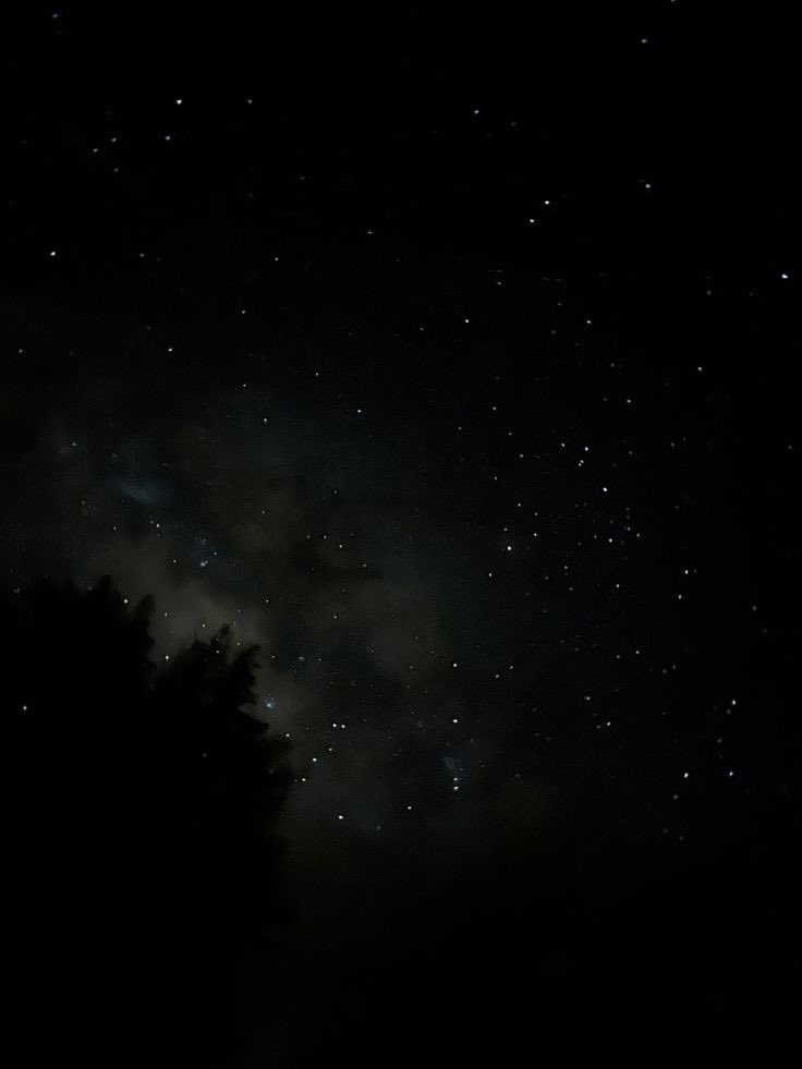 Butterflless's tweet image. 🌌