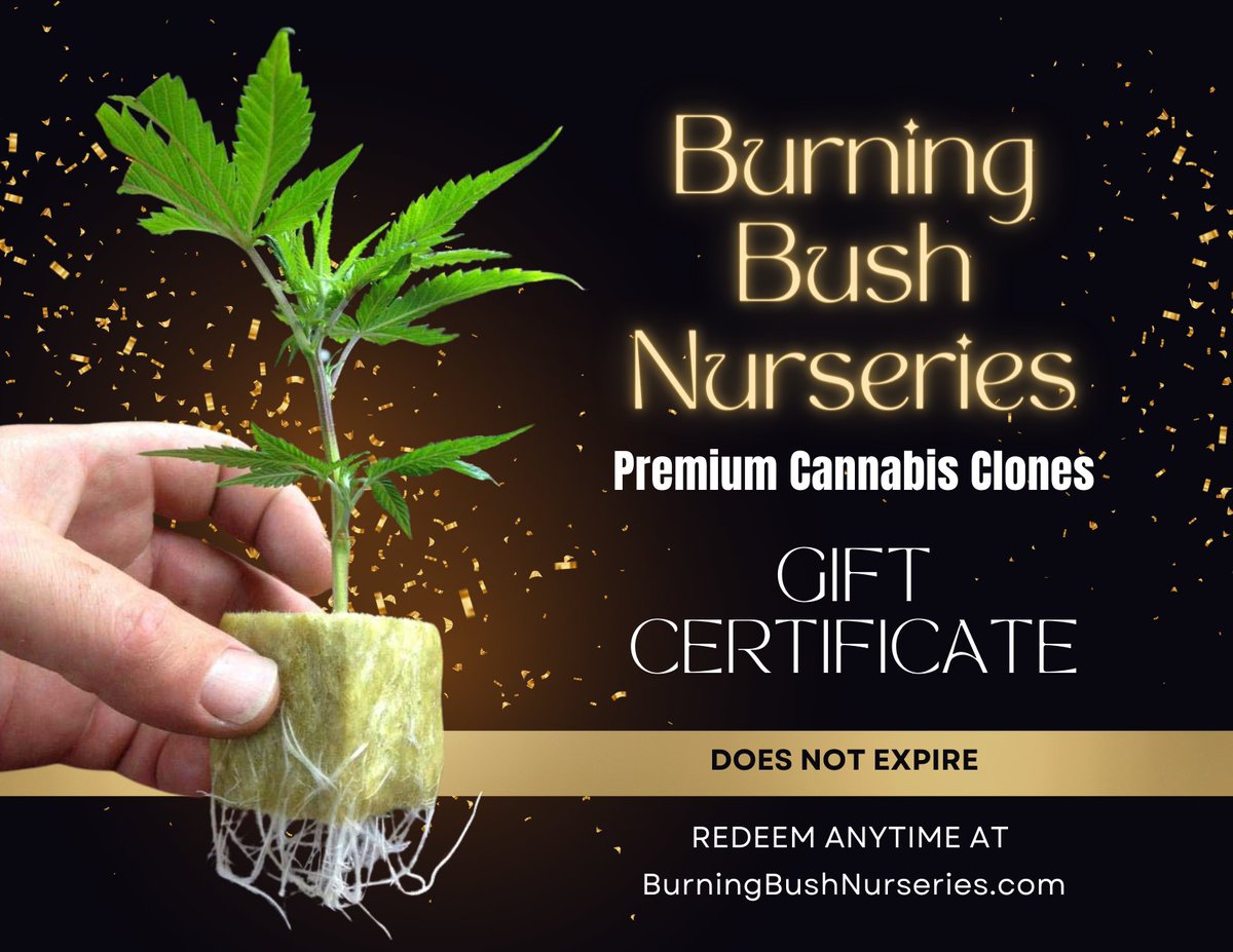 Burning Bush Nurseries - Marijuana Clones & Seeds tweet media