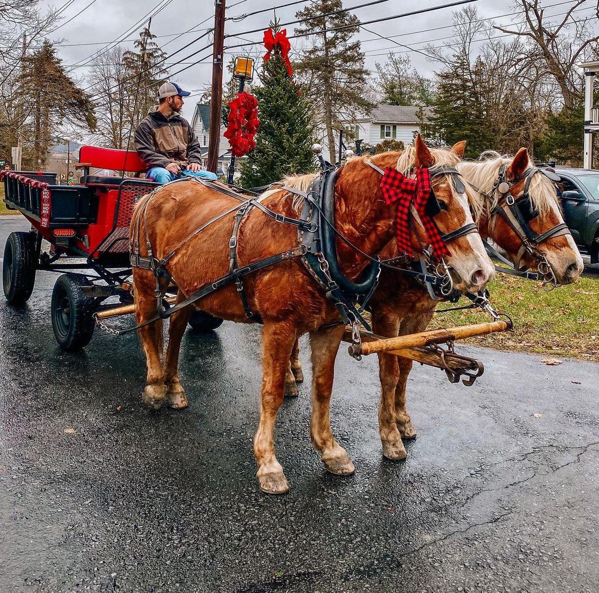 Get into the Holiday spirit in SugarLoaf! 🌲🎁⭐️

On Saturday, December 9, join for a day of
horse-drawn carriages, strolling carolers, shopping and
a visit from Santa! ❄️
📸: @sugarloafnewyork
📍 Sugar Loaf, NY
