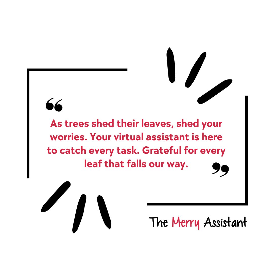 AssistantMerry's tweet photo. There's no need to worry when you have a virtual assistant on your side!

https://t.co/rofpVsb1l5

#themerryassistant #virtualassistant #va #pa #wfh #smallbiz #chicagobiz https://t.co/uGPWbdax8l