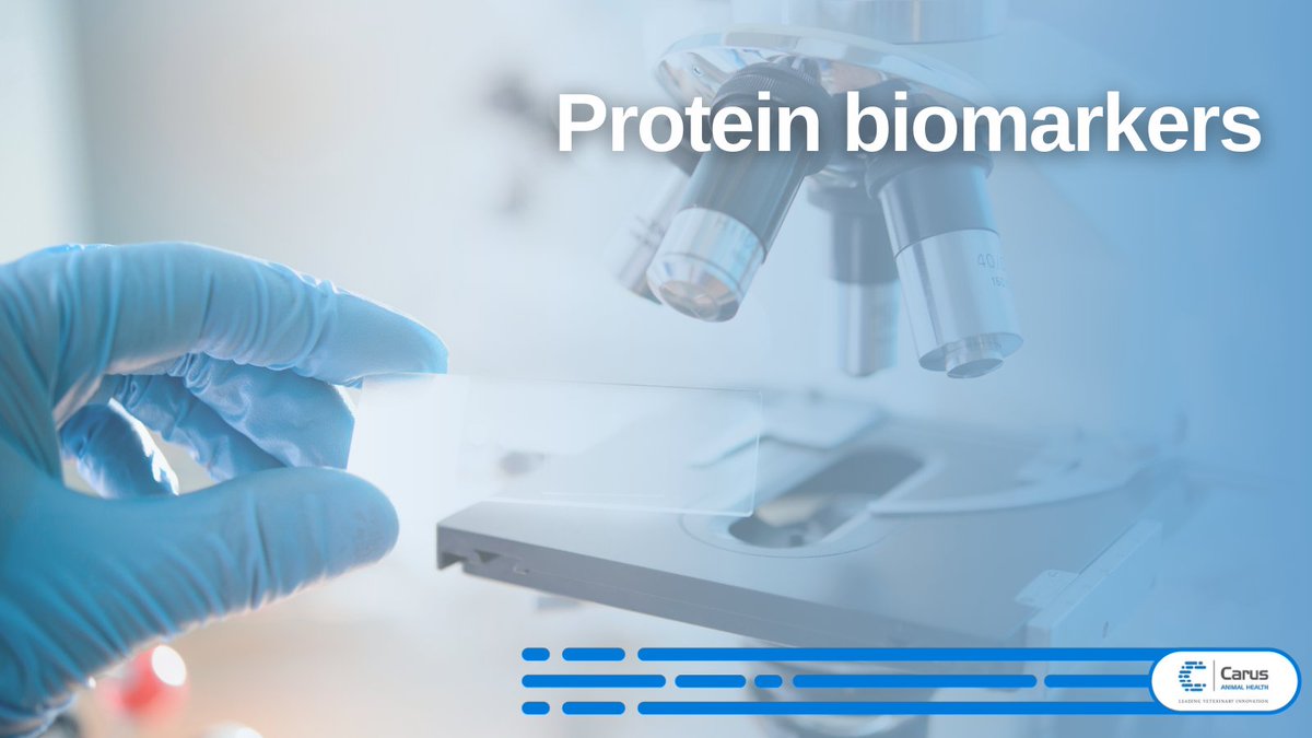carus_ah's tweet photo. Protein biomarkers have been incredibly impactful in human gastroenterology. In #veterinarymedicine biomarkers have the potential to:
🔵 Diagnose inflammatory bowel disease at an early stage
🔵 Predict future risk of disease
🔵 Have a significant impact on clinical outcomes https://t.co/KyzKWwr6Bx