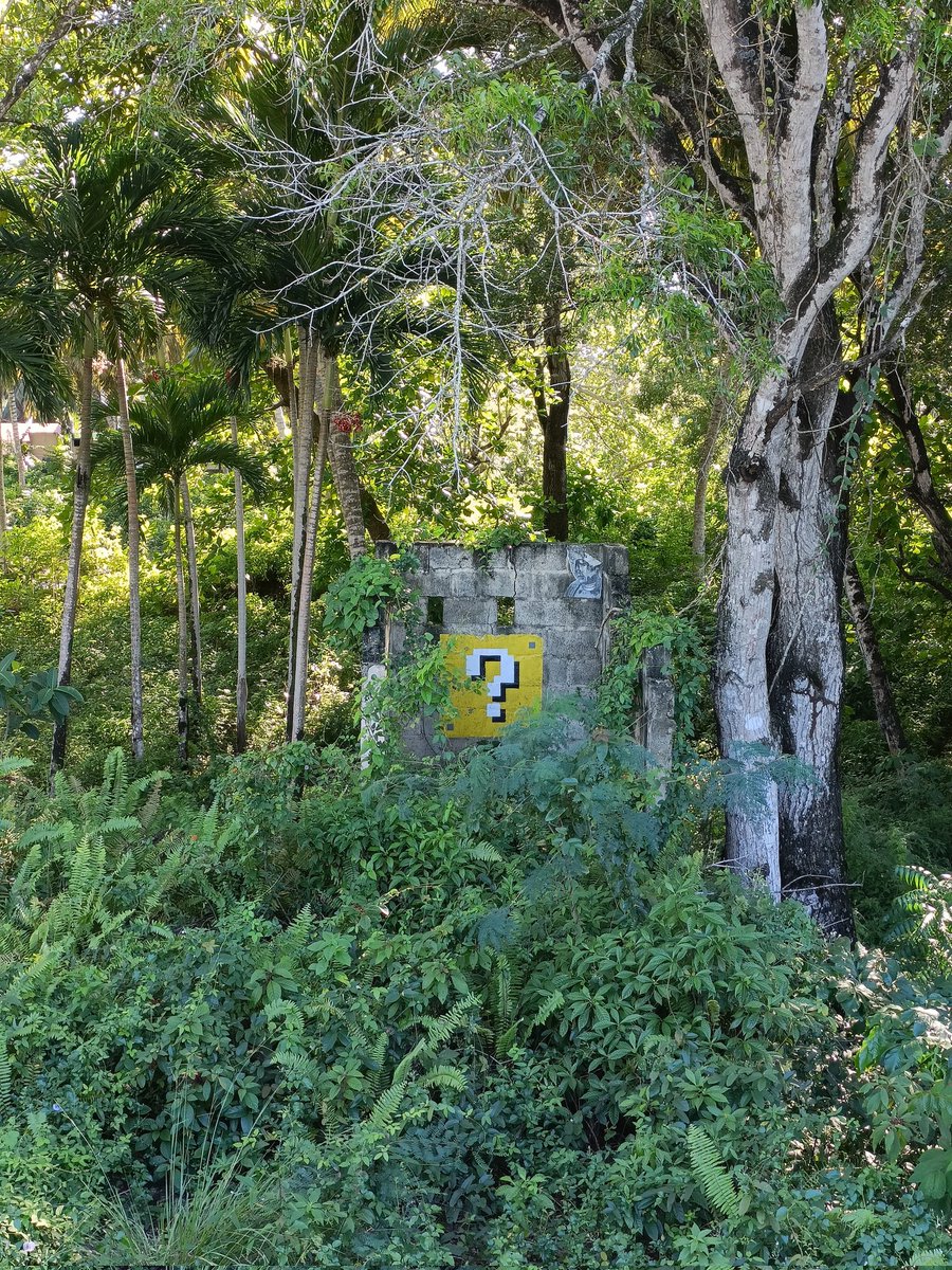 Heutiges Fundstück ❤️