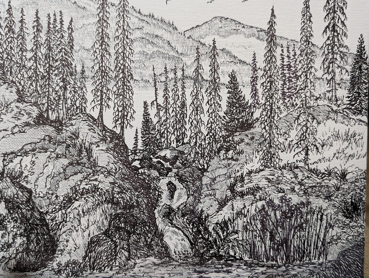 Ed Cavett tweet media