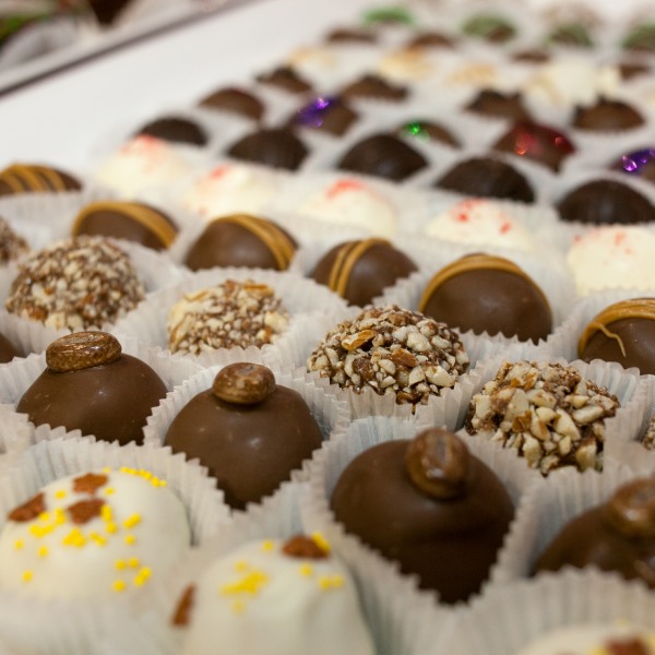 The Chocolate Expo returns to the Hudson Valley this Sunday! 🧁⭐️
Explore over 80 booths of artisan chocolate, gourmet
food, craft beverages and more!
📍 Newburgh, NY