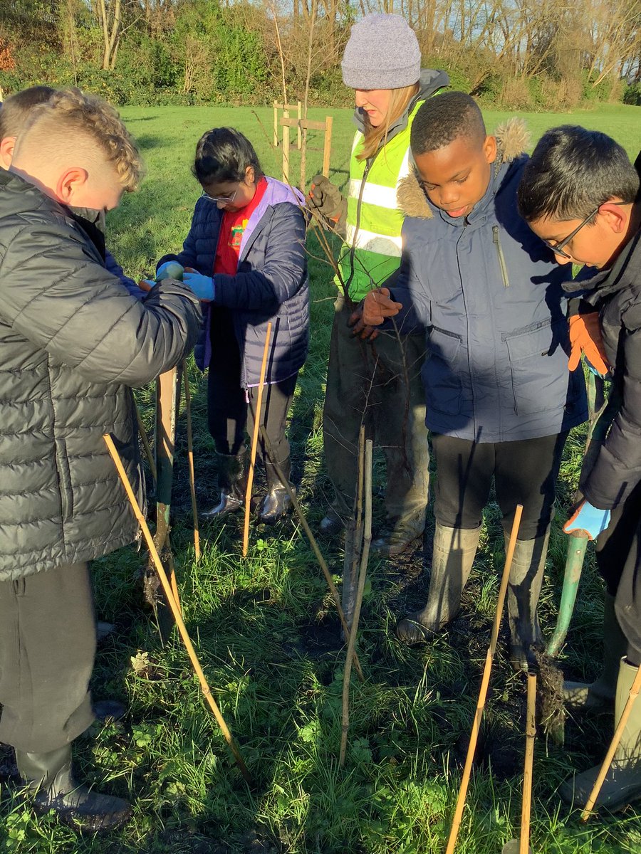 RoebuckSchool's tweet photo. Year 6 children joined Helen from #RibbleRiversTrust to plant trees on Oxhey Rec as part of a #localproject to create more #greenareas in our #locality. The children learnt the importance of #treeplanting. We hope the children will watch the trees grow and flourish 🌳 https://t.co/EWfH0x5aC3