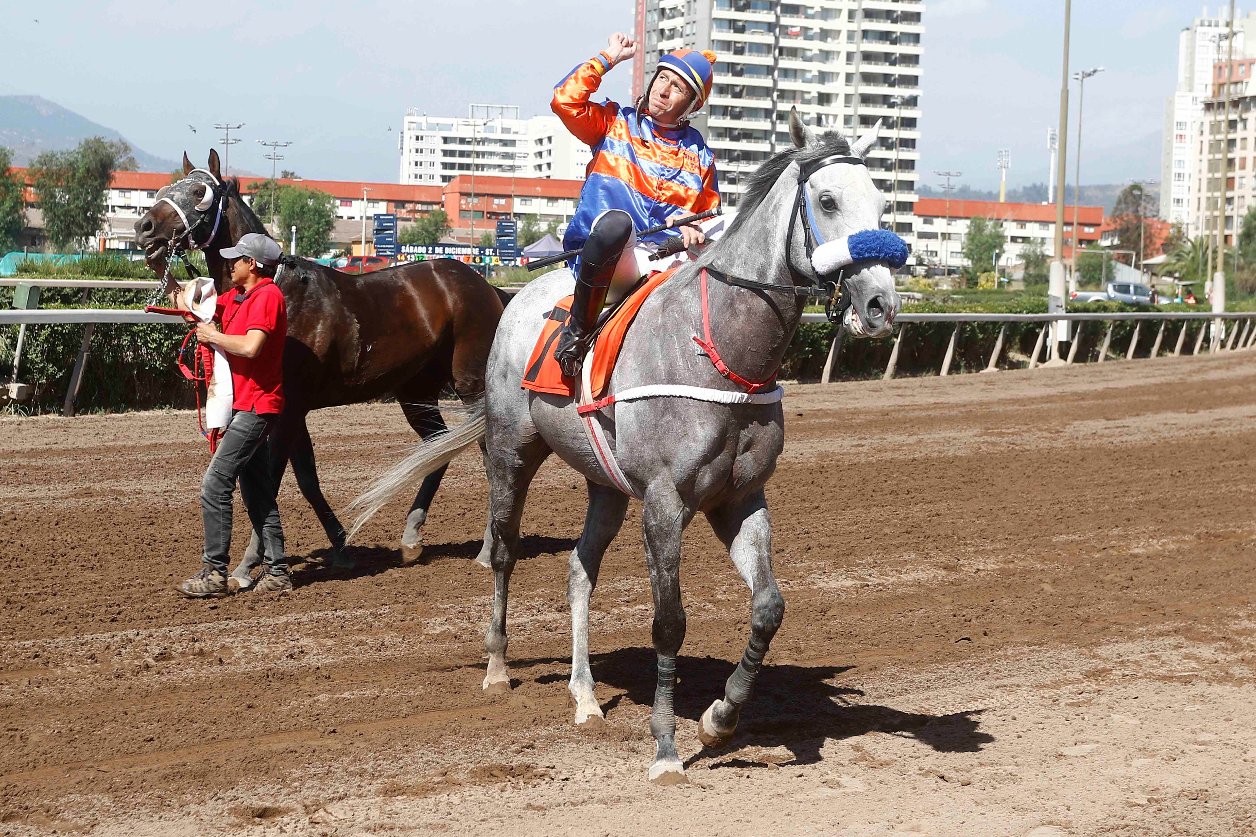 Carreras de Pronosticadores