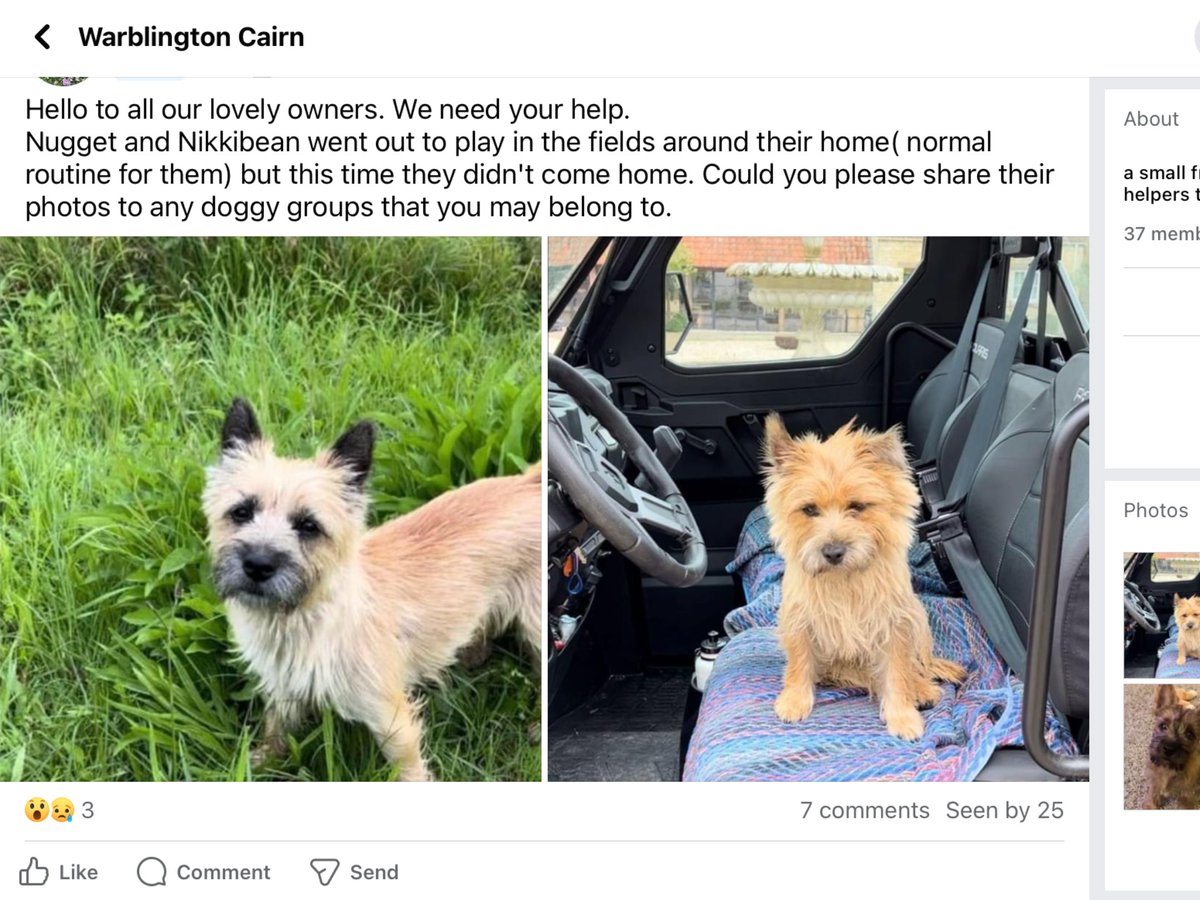 Caz & Billy Cairn tweet media