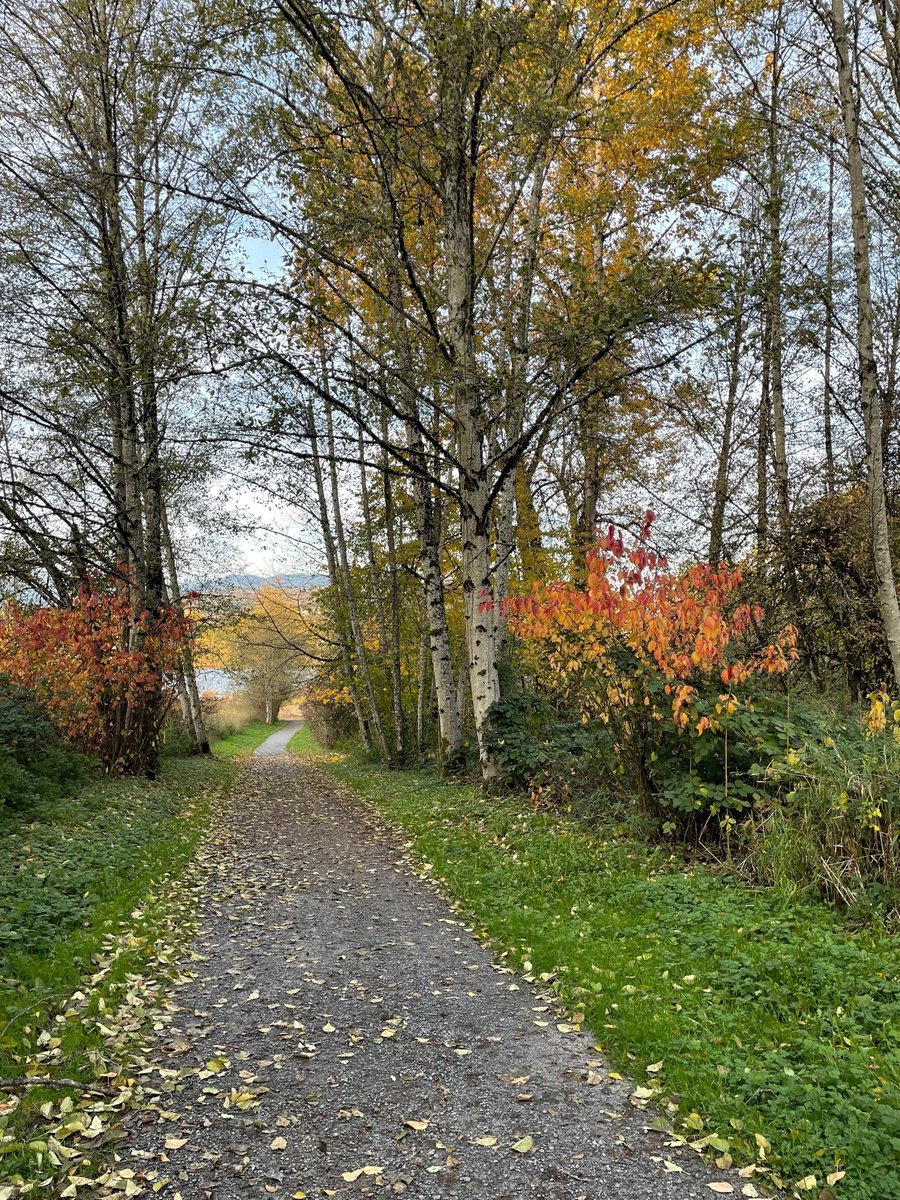 Taking a walk through the autumn leaves to boost my creative spirit. #AmWriting #AmDrawing #StetWalk