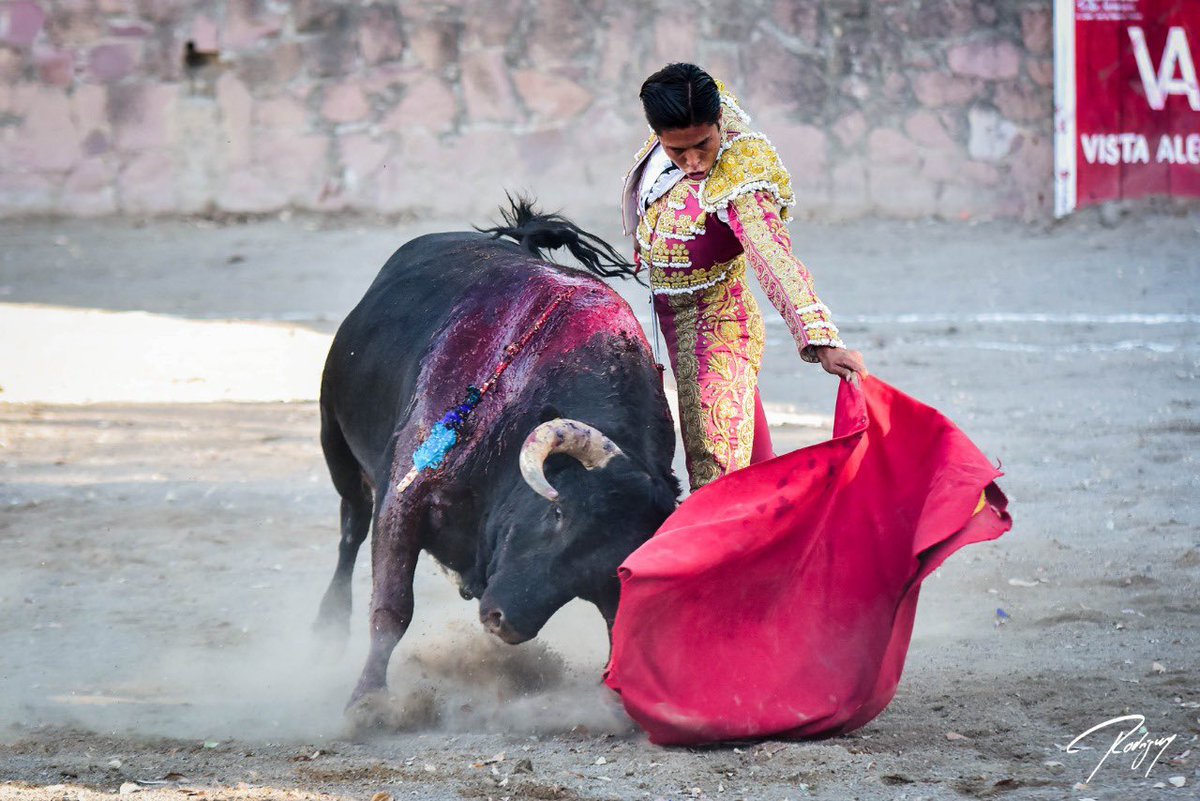 Del campo a la plaza!