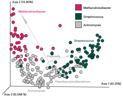 lsweyrich's tweet photo. We found an oral microbial community dominated by an #archaeon – Methanobrevibacter oralis – that is rarely found in modern microbiomes and has important systemic health implications for the past. (4/7) https://t.co/AE318ushZ5