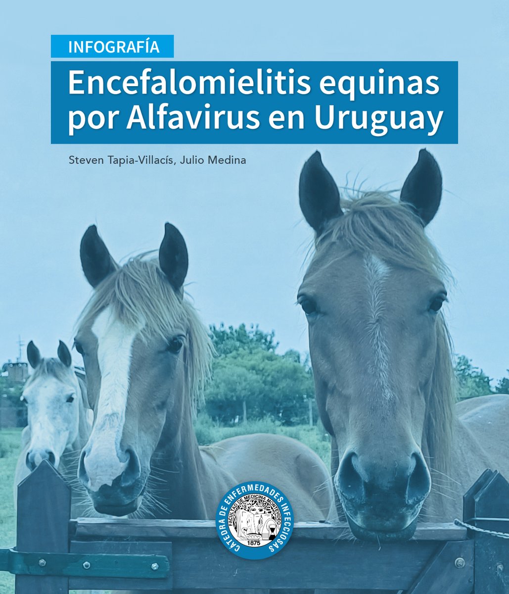 𝗘𝗻𝗰𝗲𝗳𝗮𝗹𝗼𝗺𝗶𝗲𝗹𝗶𝘁𝗶𝘀 𝗲𝗾𝘂𝗶𝗻𝗮𝘀 𝗽𝗼𝗿 𝗔𝗹𝗳𝗮𝘃𝗶𝗿𝘂𝘀 𝗲𝗻 𝗨𝗿𝘂𝗴𝘂𝗮𝘆 🇺🇾
🗓️ 29 de noviembre de 2023
..
➡️ bit.ly/4a1Bhn5
..
#Encefalomielitisequina
#alfavirus
#infectologia