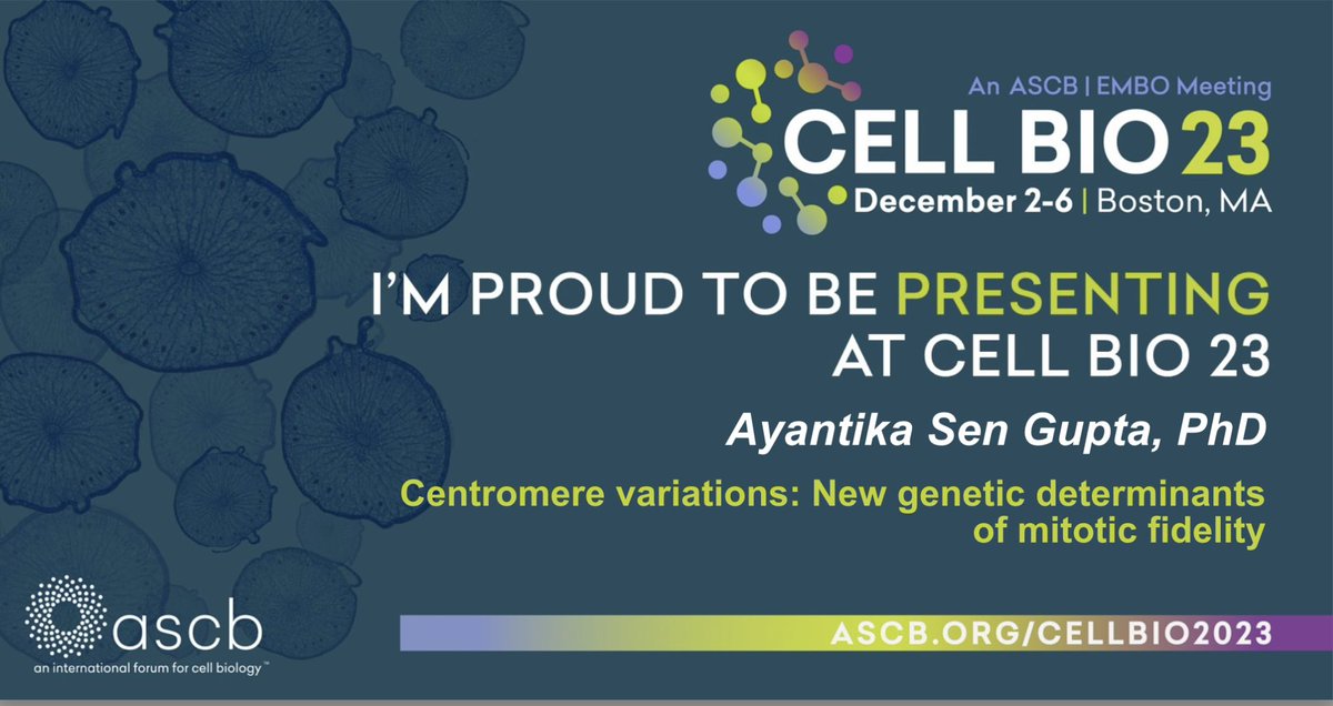 Friends visiting #cellbio2023 this year, I have something interesting to share. Come visit my talk at Minisymposium: Genome Architecture in Space and Time Talk: Sunday, December 3, 6:05-6:20pm, Room 210C. @ScienceStowers @GertonJennifer
