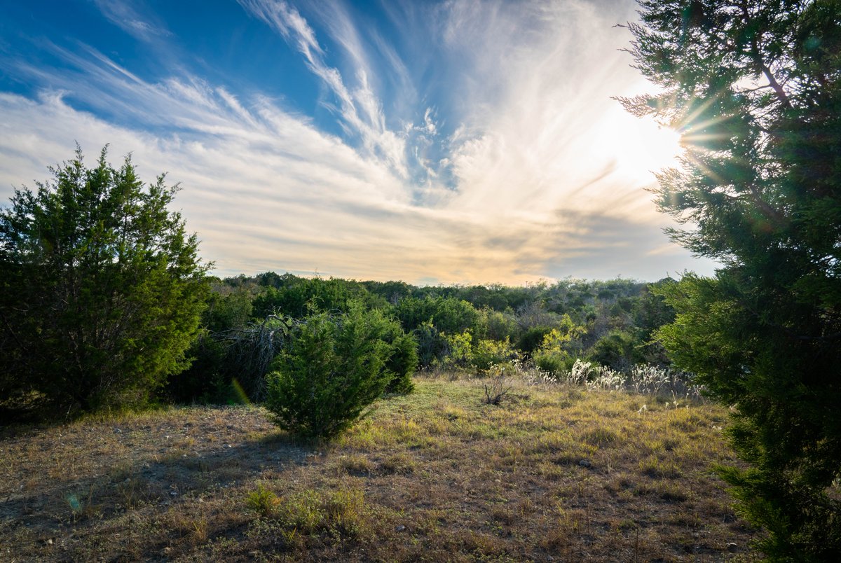 mayfairtx tweet media