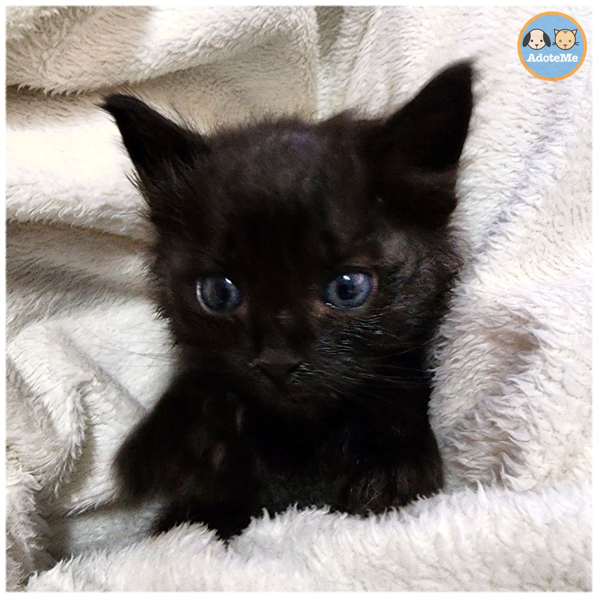 Eu era brava 😠 quando cheguei aqui 😆