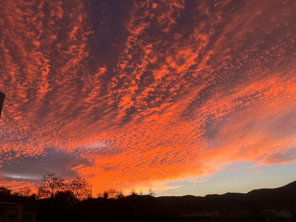 Steve Cushing Photography tweet media