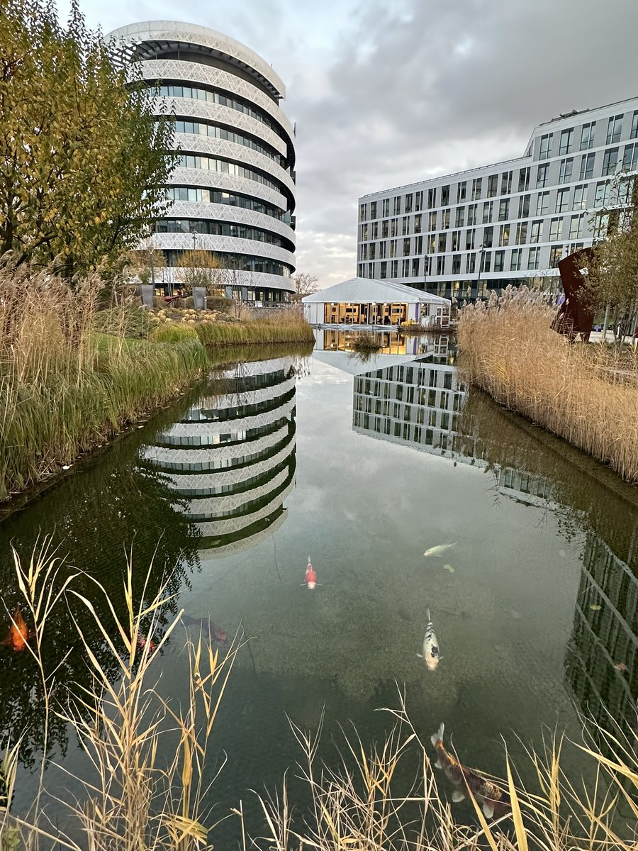 Steve Jarrett tweet media