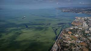 infopublicave's tweet photo. #EnZulia: un monitoreo realizado por Transparencia Venezuela reveló que entre las empresas que operan en el Lago de Maracaibo, la que más ha afectado la región es Petrozamora. Según la investigación, en el lago pueden ocurrir hasta ocho derrames de petróleo diarios. https://t.co/j9TJmKqNJj