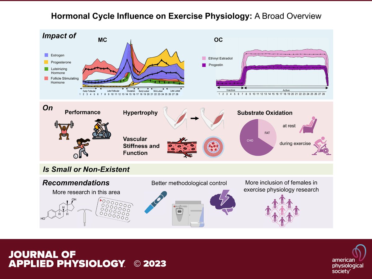 Chuffed to be able to contibute to this fantastic review! 👇 Menstrual cycle hormones and oral contraceptives: a multimethod systems physiology-based review of their impact on key aspects of female physiology journals.physiology.org/doi/full/10.11…