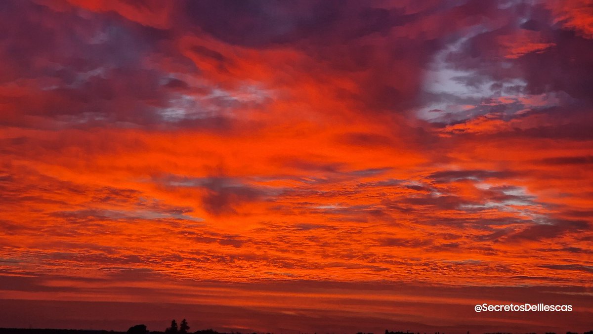 Secretoillescas's tweet photo. Brutal Atardecer Mágico

#AtardecerIllescano
#atardeceresmagicos 
#rutasconencanto
#RutaAtardecer
#atardeceresbonitos
#atardeceresúnicos
#atardeceresporelmundo 
#atardecerinolvidables 
#Naturaleza 
#desconexion  
#Estoes_CastillaLaMancha 
#SecretosDeIllescas https://t.co/BLVUBUwUkt