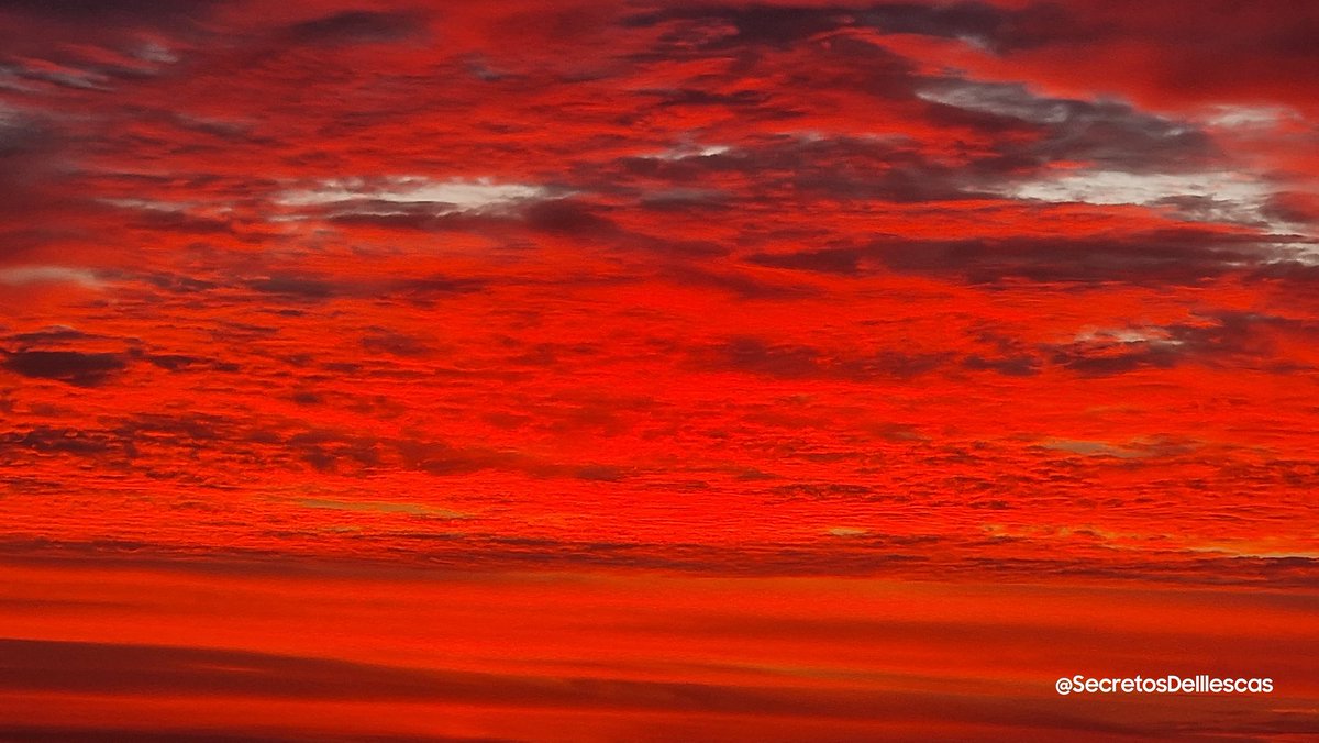 Secretoillescas's tweet photo. Brutal Atardecer Mágico

#AtardecerIllescano
#atardeceresmagicos 
#rutasconencanto
#RutaAtardecer
#atardeceresbonitos
#atardeceresúnicos
#atardeceresporelmundo 
#atardecerinolvidables 
#Naturaleza 
#desconexion  
#Estoes_CastillaLaMancha 
#SecretosDeIllescas https://t.co/BLVUBUwUkt