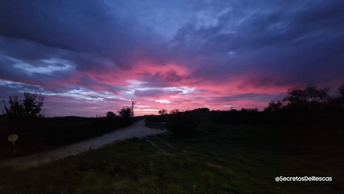 Secretoillescas's tweet photo. Brutal Atardecer Mágico

#AtardecerIllescano
#atardeceresmagicos 
#rutasconencanto
#RutaAtardecer
#atardeceresbonitos
#atardeceresúnicos
#atardeceresporelmundo 
#atardecerinolvidables 
#Naturaleza 
#desconexion  
#Estoes_CastillaLaMancha 
#SecretosDeIllescas https://t.co/BLVUBUwUkt