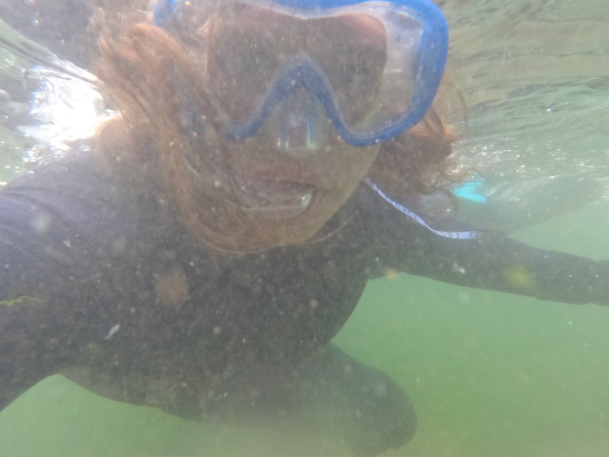 Kathi Kamleitner โ๏ธ๐ฟ (@watchmesee) on Twitter photo A4. Snorkeling and swimming, always ๐
I also look forward to joining <a href="/HARPArchaeology/">HARP Archaeology</a> for a tour and want to do more bike trips! #ScotlandHour A4. Snorkeling and swimming, always ๐
I also look forward to joining <a href="/HARPArchaeology/">HARP Archaeology</a> for a tour and want to do more bike trips! #ScotlandHour