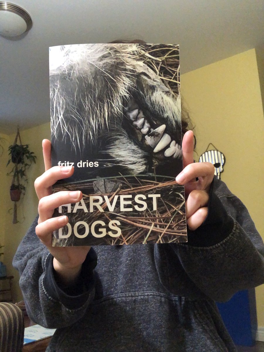 HARVEST DOGS. tweet media