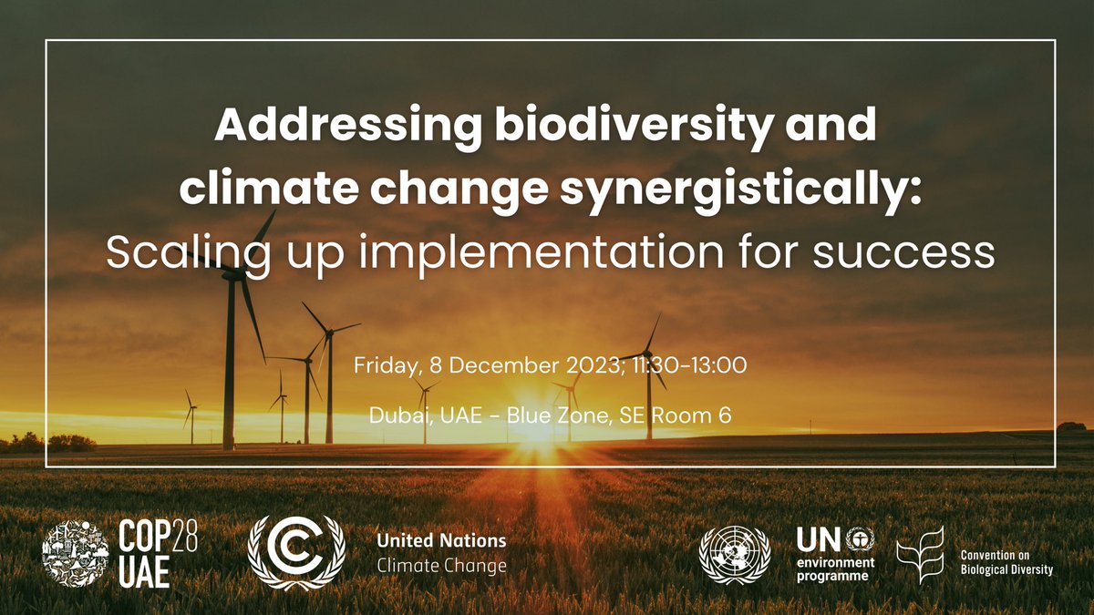 UNBiodiversity's tweet image. This side event at #COP28UAE will address biodiversity &amp;amp; climate change synergistically: Scaling up implementation for success

🗓️Friday, 8 December 2023

⏰11:30-13:00

📍Dubai, UAE - Blue Zone, SE Room 6

#AgreementToAction