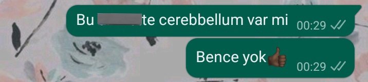 Nöro komitesi yan etkileri