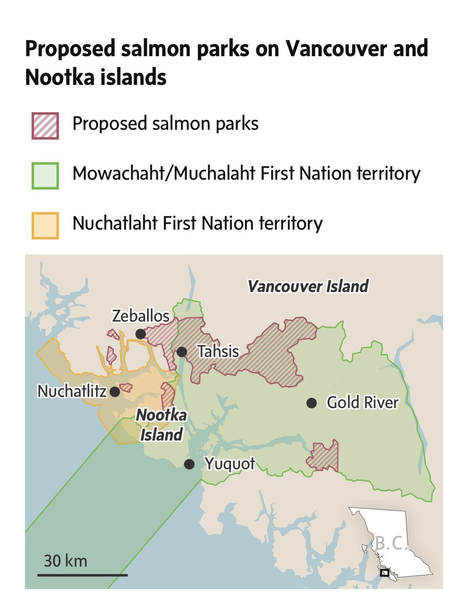 Good article on the Salmon Park proposals of the Mowachat-Muchalaht, Nuchatlaht and other Nuuchahnulth Nations.

That big area around Tahsis is home to some of the worst clearcuts and the nicest remaining old-growth stands I know.

theglobeandmail.com/canada/article… #bcpoli