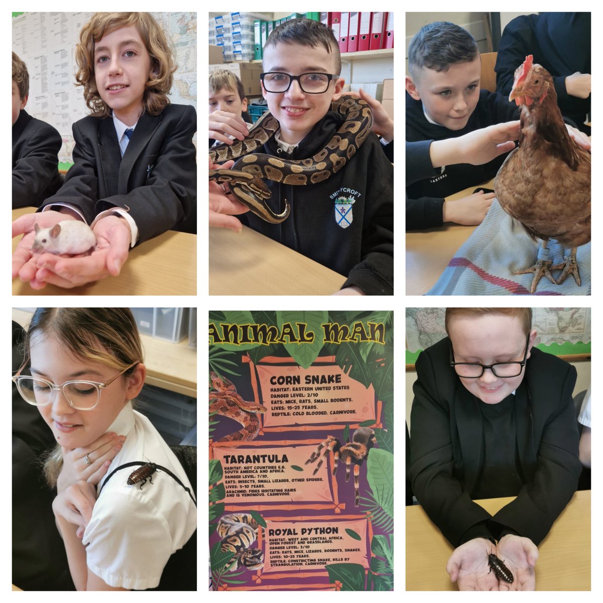 It was a busy day for S1! Their Brazil &amp; The Amazon Rainforest unit got fairly hands on 🐍🐔🪳🐢🦎🕷🐁 <a href="/smithycroft282/">Smithycroft Secondary</a> Thank you to <a href="/Mr_G_Forbes/">Mr Forbes</a> for organising.