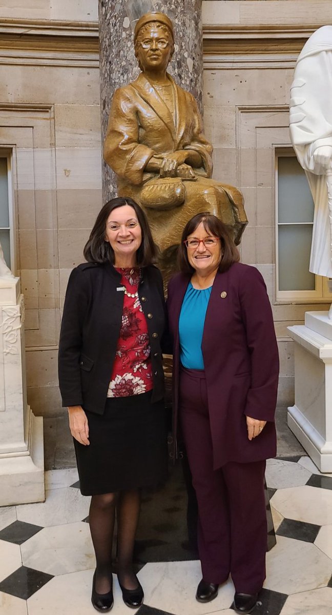 Thank you to @RepAnnieKuster for talking with NAMI NH Exec. Dir. Susan Stearns about how we can work together to improve the lives of Granite Staters affected by mental illness and suicide. #Act4MentalHealth