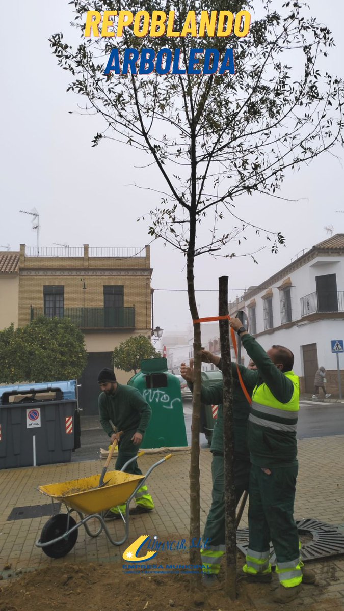LimancarSLU's tweet photo. ¡REPOBLANDO ARBOLEDA! 🌳🌳 https://t.co/HD0dL0UrED