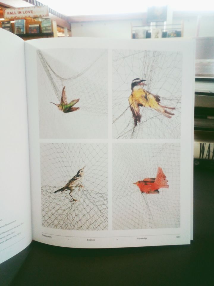 Ornithological Photography