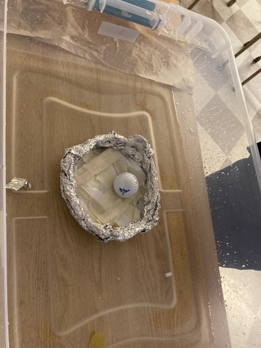 D. Rumble tweet media