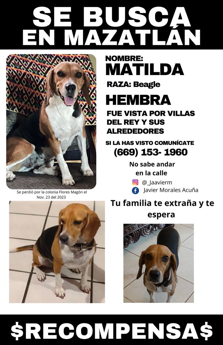 _javiersin's tweet photo. SE BUSCA ❗❗ vamos Matilda ya es hora de que sepa algo de ti, muchos te estamos buscando y no perdemos la esperanza de encontrarte 🙏🙏 https://t.co/ttX5wtyrA8