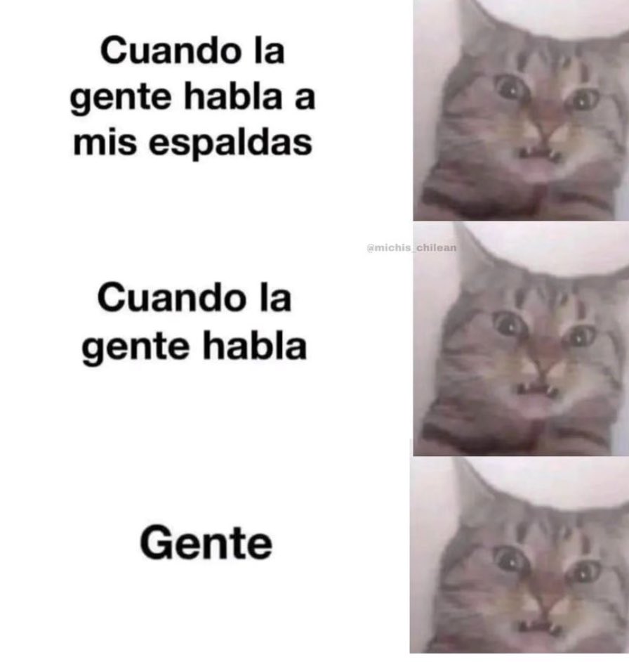 _onerolita's tweet photo. gente https://t.co/2HZFQ42ARZ