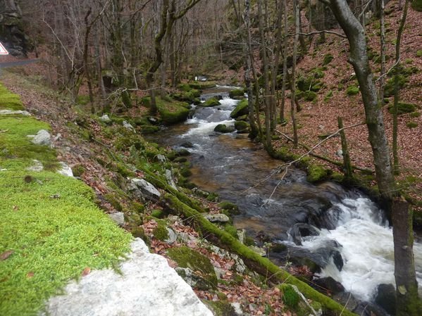 Chateldon vous invite à une balade au fil de l'eau  dans la  vallée de 'La Credogne'
#RegionsFrance #Auvergne #PuydeDôme
