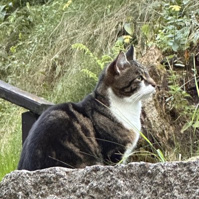 #NewProfilePicture 

Meeeeeooooow meeeeeooooow♥️♥️♥️♥️

<a href="/albinokid/">Anthony Rapp SAG-AFTRA National Board Member</a>