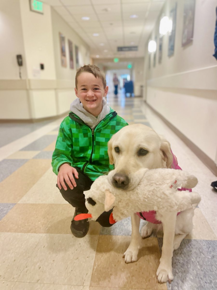 All smiles! Nine-year-old Simon got to say hi to Hospital Facility Dog Casey after his check-up at OHSU Doernbecher. #DBCasey