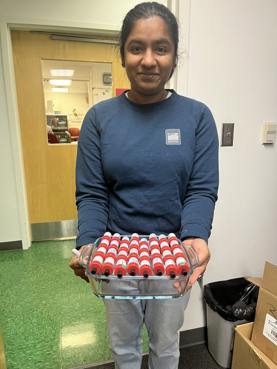 Alex Guseman tweet media