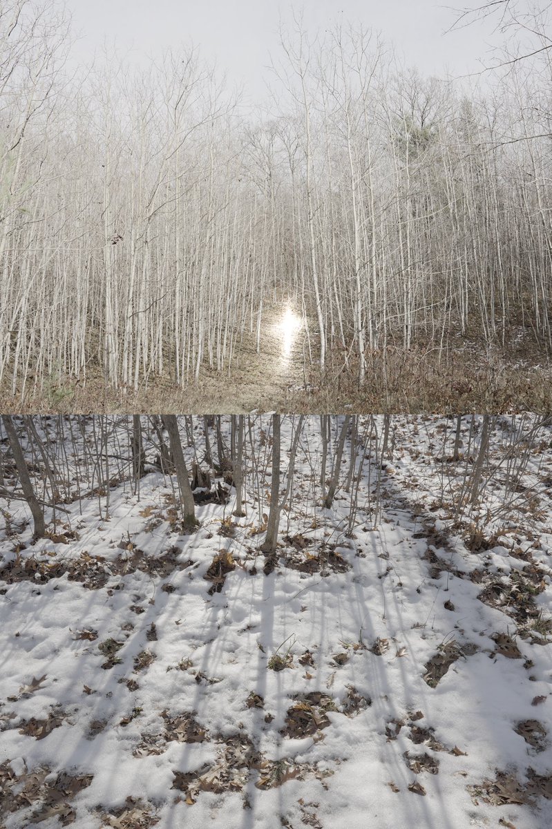 iamtethered's tweet photo. I saw a ghost in Wisconsin https://t.co/RBh3DsgsV2