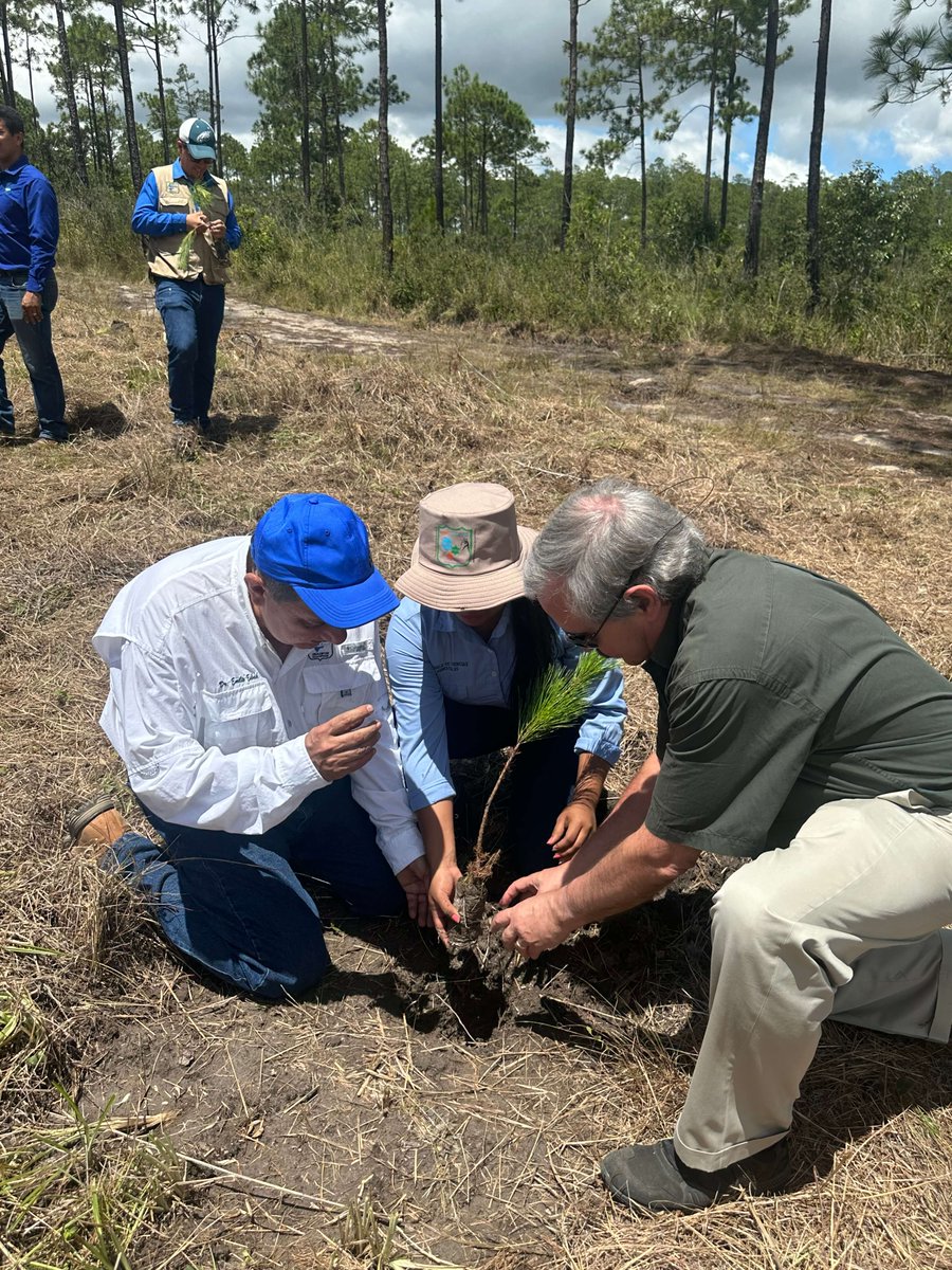 BetterWoodP's tweet photo. Proud to share some photos of this year's #ThreeTreePledge tree planting with Unacifor in #Honduras. https://t.co/I9KQZBJJ2t