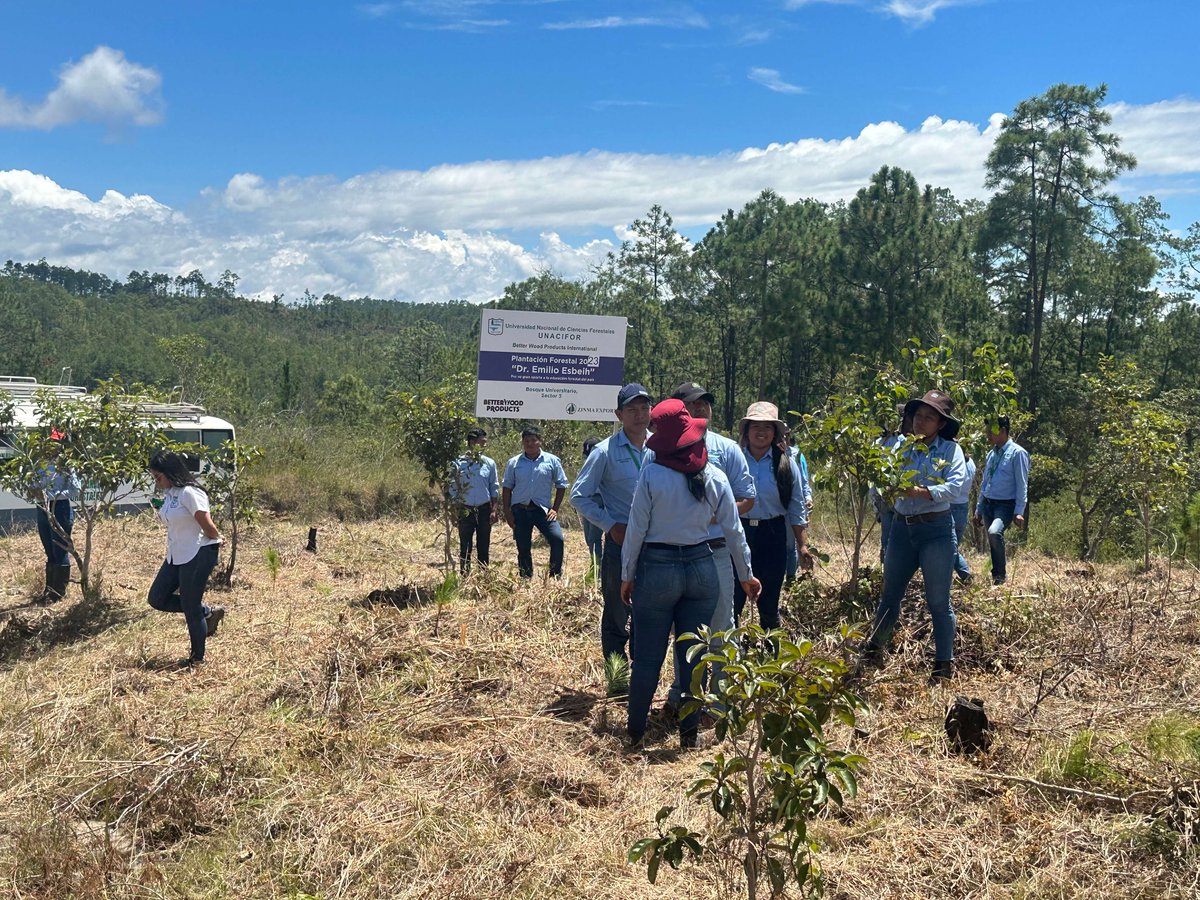 BetterWoodP's tweet photo. Proud to share some photos of this year's #ThreeTreePledge tree planting with Unacifor in #Honduras. https://t.co/I9KQZBJJ2t