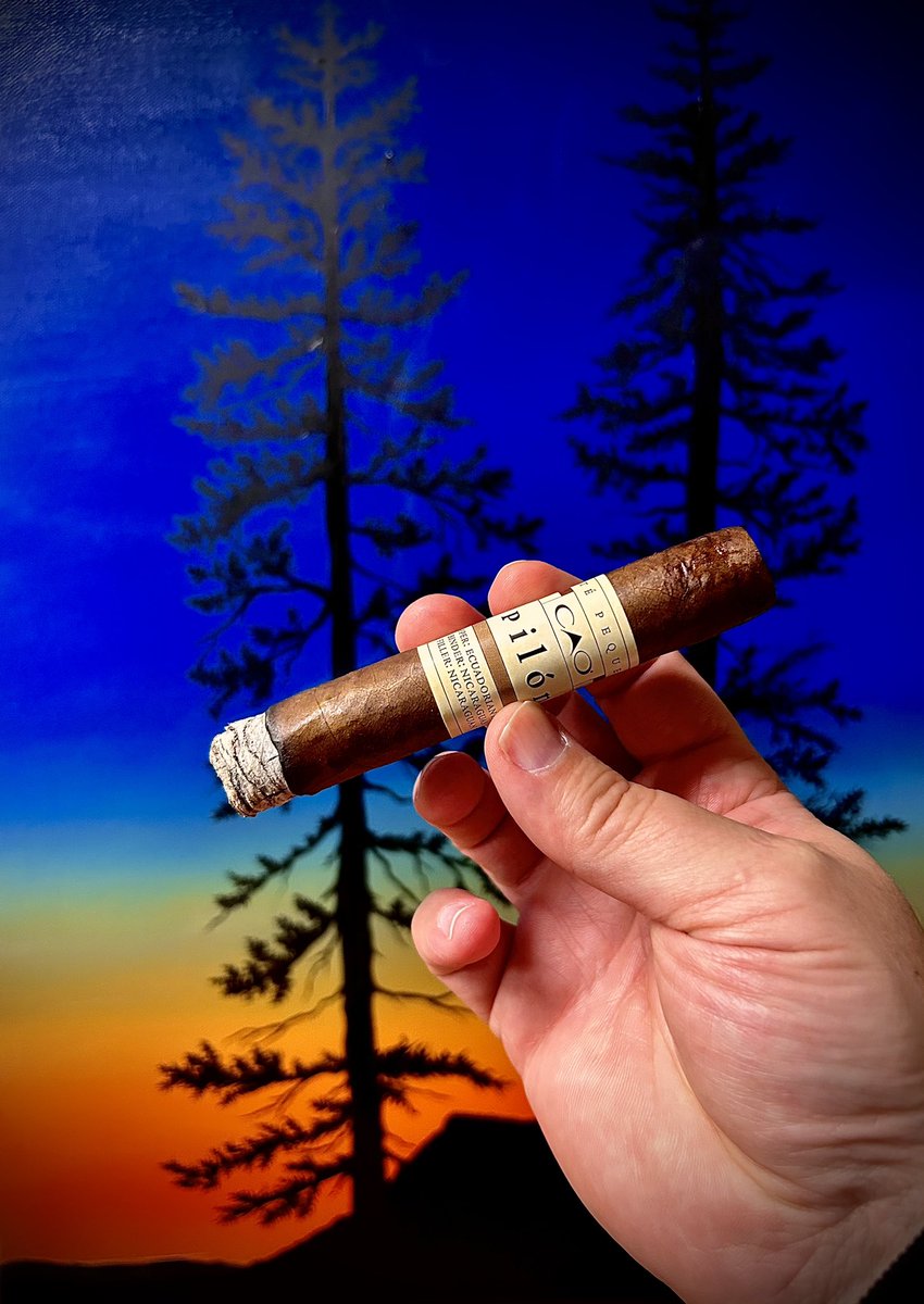 AnnapolisAsh's tweet photo. First up this evening. The CAO Pilon Robusto. #cao #caocigars #caopilon #caopilón #caopilonrobusto #annapolisashtalk #cigarsdaily #cigarsdailynation #cigarobsession #cigarsofinstagram #pssita💨💨💨💨🔥🔥🔥 https://t.co/NhBbu8oWeE
