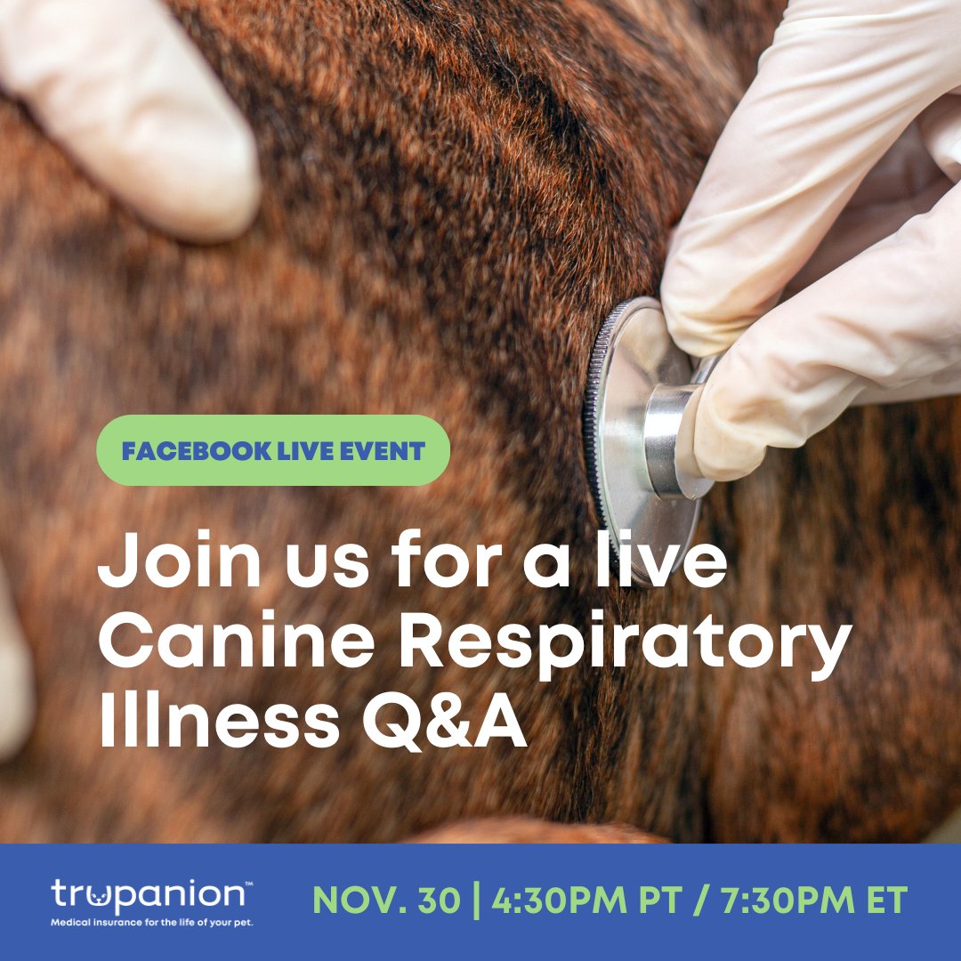 realmightyvet's tweet photo. In response to continued reports of an upswing in respiratory illness impacting dogs, Trupanion is hosting a free webinar, “Separating Fact, Fiction, and Uncertainty: Canine Respiratory Illness Q&amp;A,” on 11/30/2023 at 4:30pm PT / 7:30pm ET: https://t.co/VSomdhcntB https://t.co/iGi1rJ0B3H