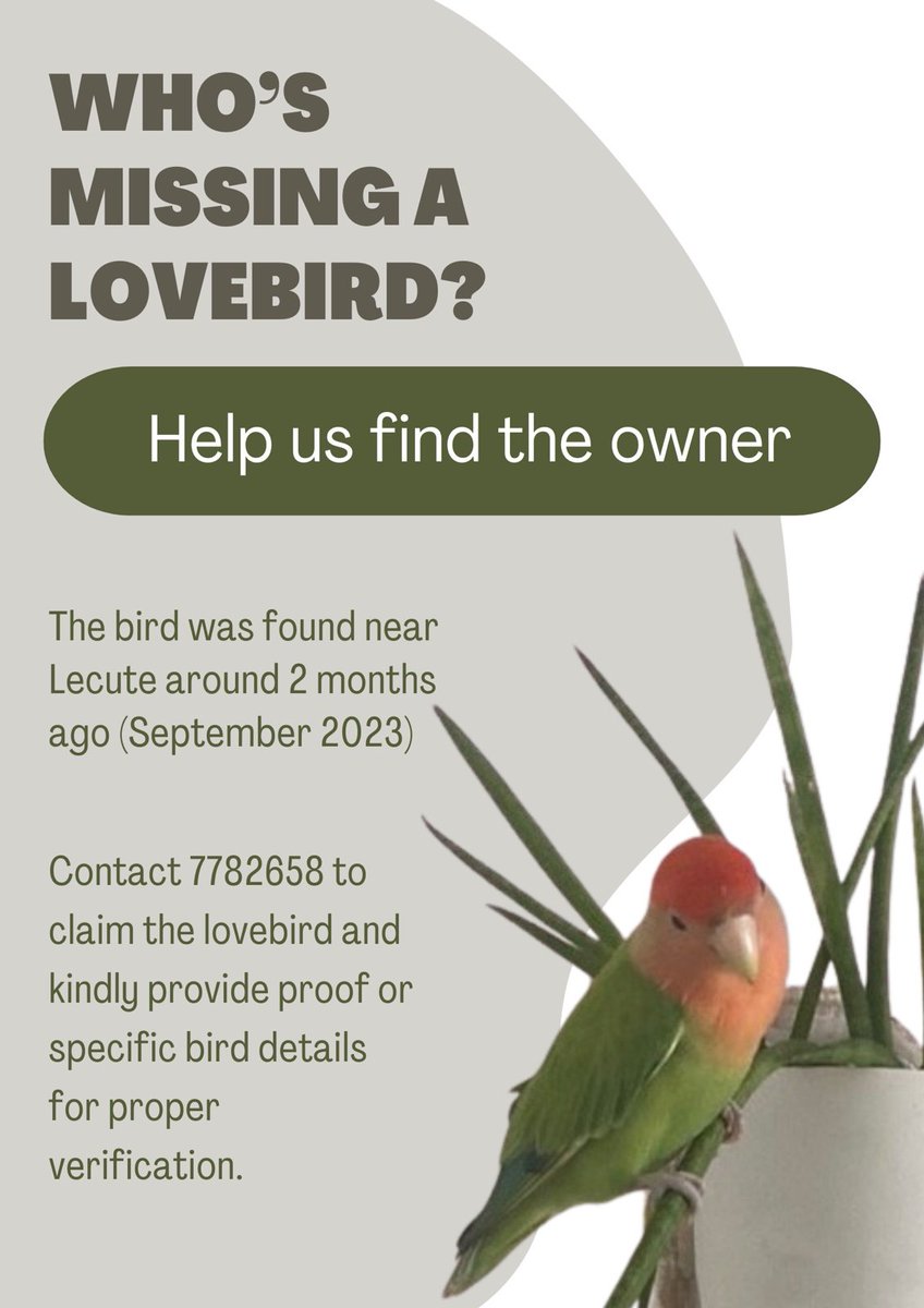 MV Lost & Found tweet media